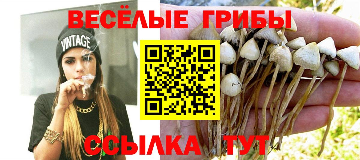 Галлюциногенные грибы мицелий  Вход с VPN  Галлюциногенные грибы мицелий  Междуреченск 