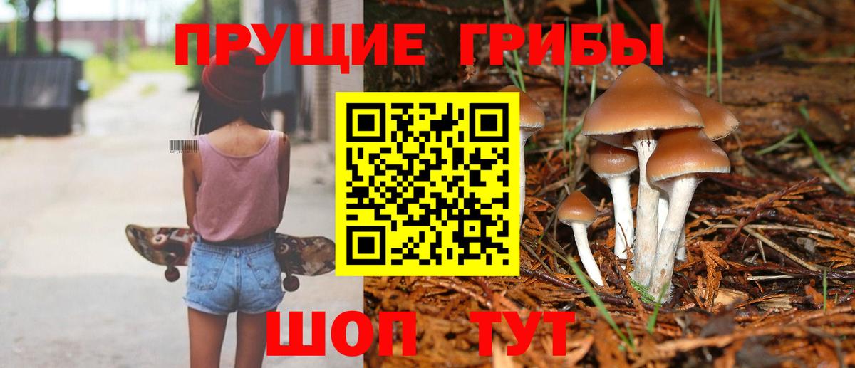Псилоцибиновые грибы GOLDEN TEACHER Междуреченск